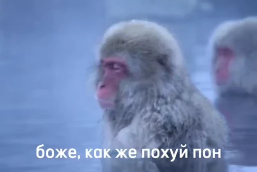 💫 Стикер «abizyani» для Telegram