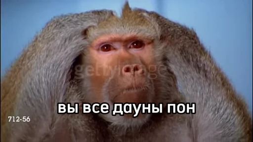 💫 Стикер «abizyani» для Telegram