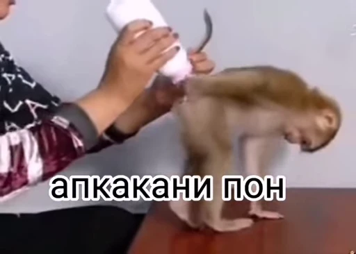 💫 Стикер «abizyani» для Telegram