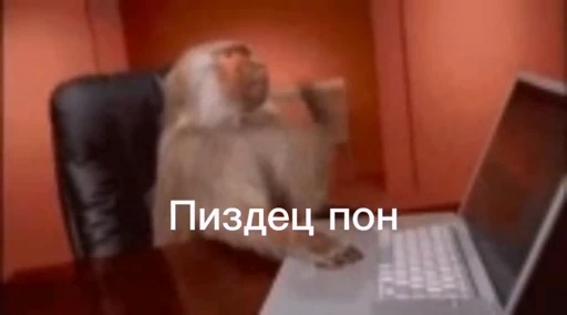 💫 Стикер «abizyani» для Telegram