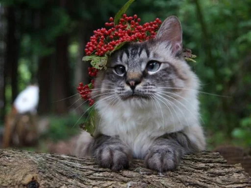 💞 Стикер «Red» для Telegram