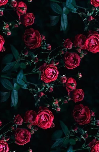 ❤ Стикер «Red» для Telegram