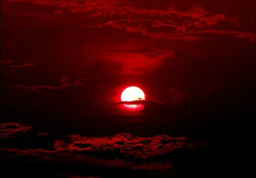 💞 Стикер «Red» для Telegram