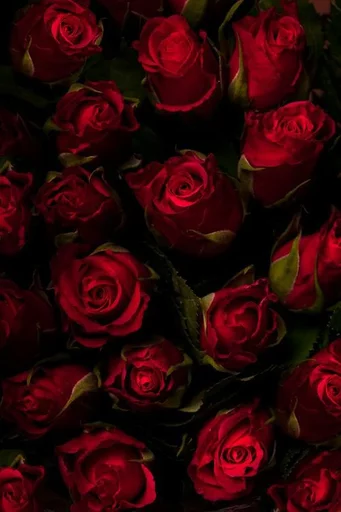 💞 Стикер «Red» для Telegram