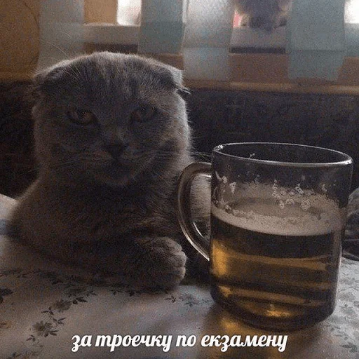 🍺 Стикер «Абстрактные стикеры для споров с дедом» для Telegram