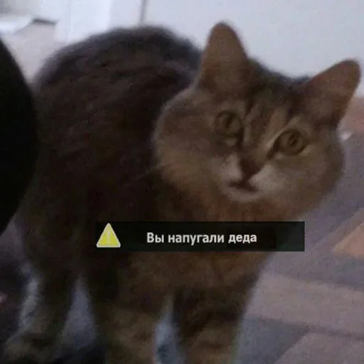 😱 Стикер «Абстрактные стикеры для споров с дедом» для Telegram