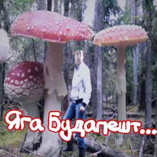 🍄 Стикер «Abukhałím» для Telegram
