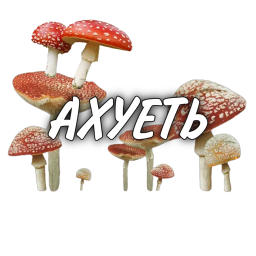 🍄 Стикер «Abukhałím» для Telegram