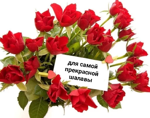 💐 Стикер «че та типа мемав ваших» для Telegram