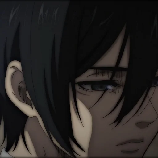 🧣 Стикер «Ackerman Mikasa» для Telegram