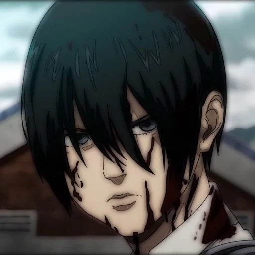 🧣 Стикер «Ackerman Mikasa» для Telegram