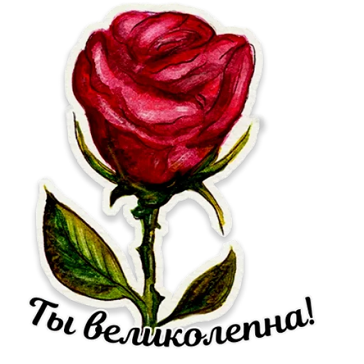 🌹 Стикер «Акварель» для Telegram