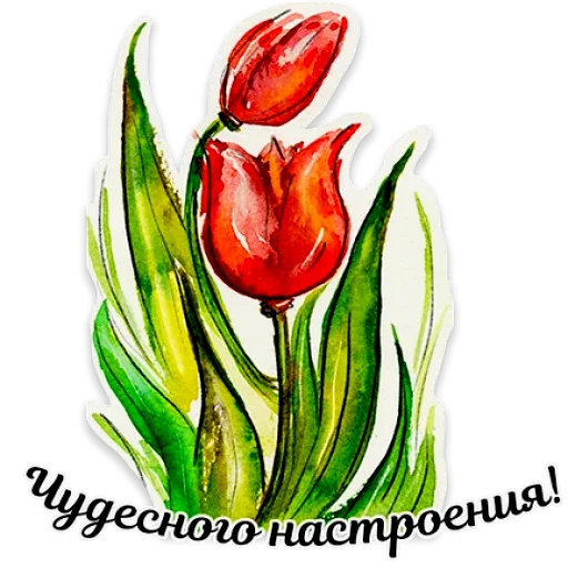 🌷 Стикер «Акварель» для Telegram
