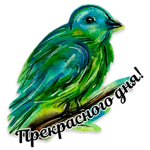 🐦 Стикер «Акварель» для Telegram