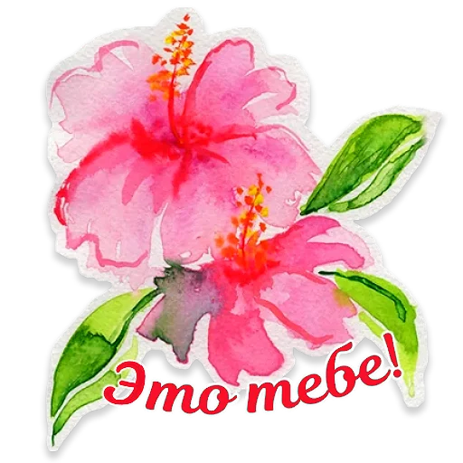 🌺 Стикер «Акварель» для Telegram