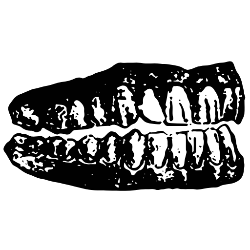Стикер 6 Random P1