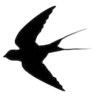 Стикер 9 #adaptive