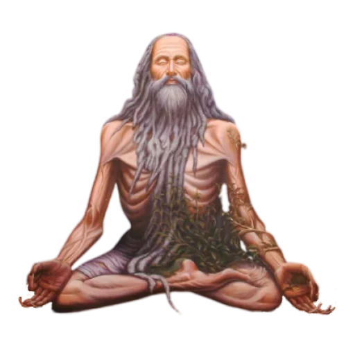 ✨ Стикер «adhi_yogi» для Telegram
