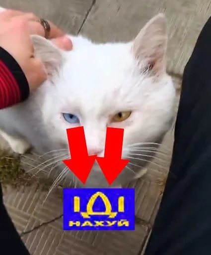 🌟 Стикер «ІДІ НАХУЙ» для Telegram