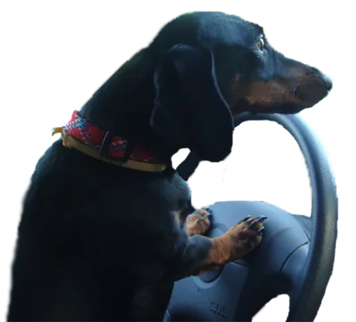🚗 Стикер «Аццкий цобак!» для Telegram