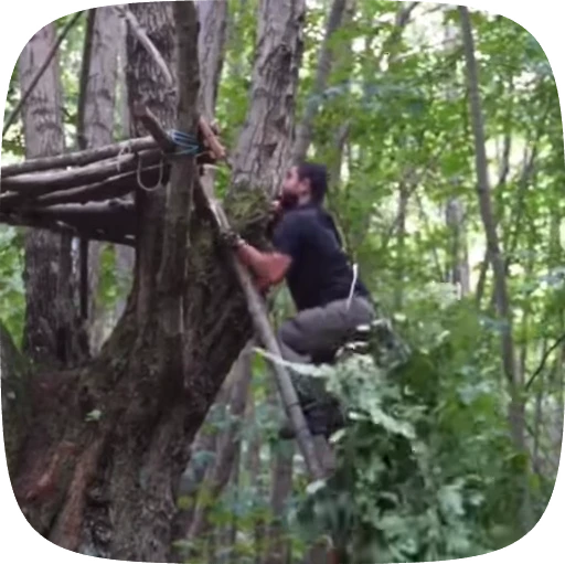 🏕 Стикер «Adventure» для Telegram