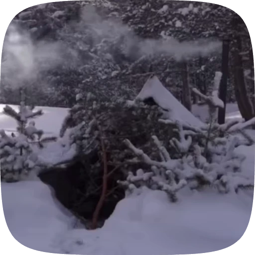 🏕️ Стикер «Adventure» для Telegram