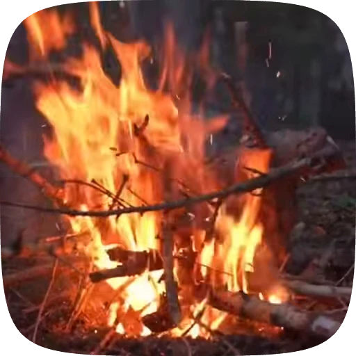 🏕️ Стикер «Adventure» для Telegram
