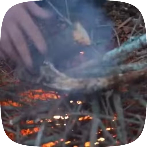 🏕️ Стикер «Adventure» для Telegram