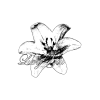 Стикер 9 adaptive