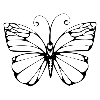 Стикер 39 adaptive