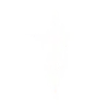Стикер 23 adaptive