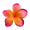 🌸 Эмодзи «Summer Aestetic» для Telegram