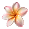 🌸 Эмодзи «Summer Aestetic» для Telegram