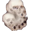 ☠️ Эмодзи «ဗေဒ ?» для Telegram