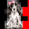 Стикер 38 aesthetic #carton #random