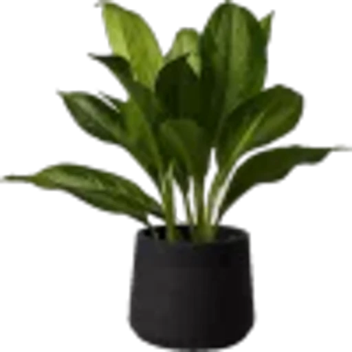 🤩 Эмодзи «Plants» для Telegram