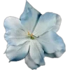 🤩 Эмодзи «Plants» для Telegram