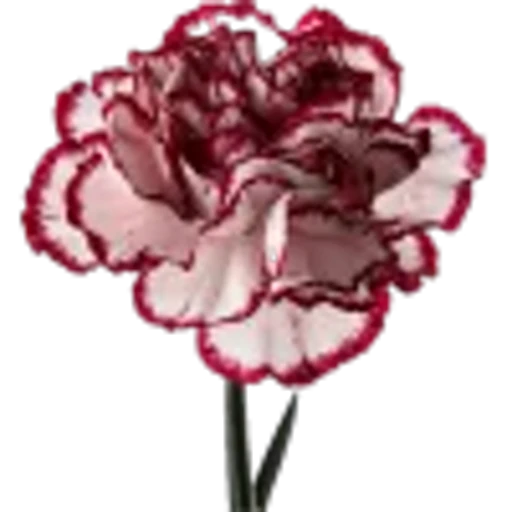 🤩 Эмодзи «Plants» для Telegram