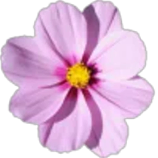 🤩 Эмодзи «Plants» для Telegram