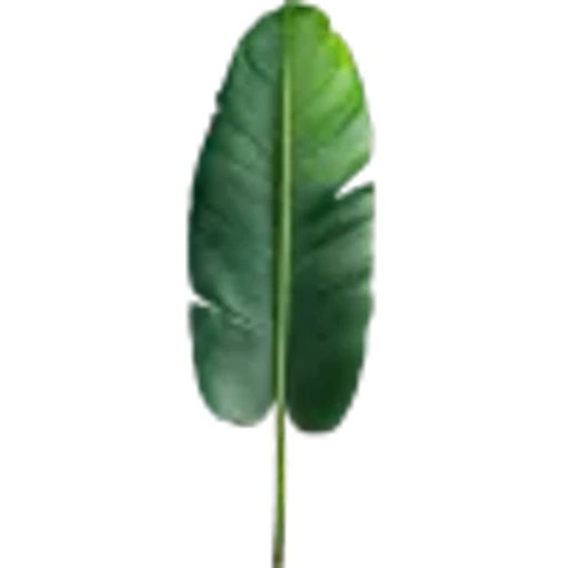 🤩 Эмодзи «Plants» для Telegram
