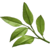 🤩 Эмодзи «Plants» для Telegram