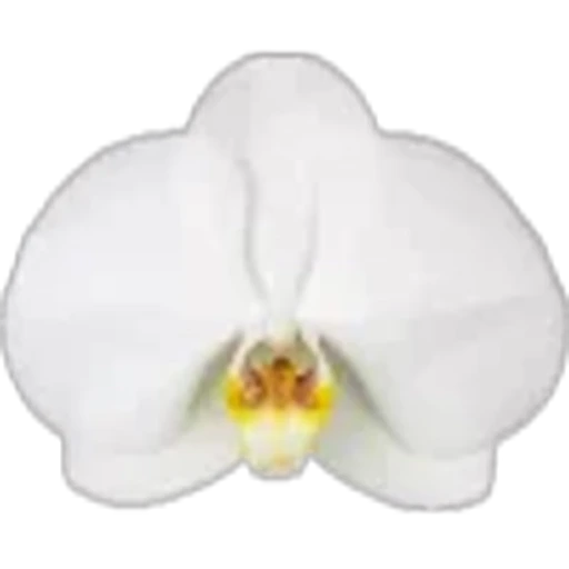🤩 Эмодзи «Plants» для Telegram