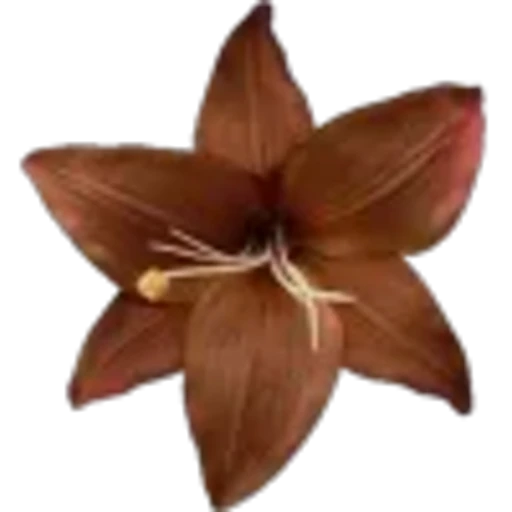 🤩 Эмодзи «Plants» для Telegram