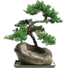 🤩 Эмодзи «Plants» для Telegram