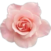 🤩 Эмодзи «Plants» для Telegram