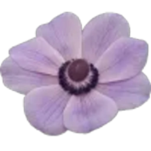 🤩 Эмодзи «Plants» для Telegram