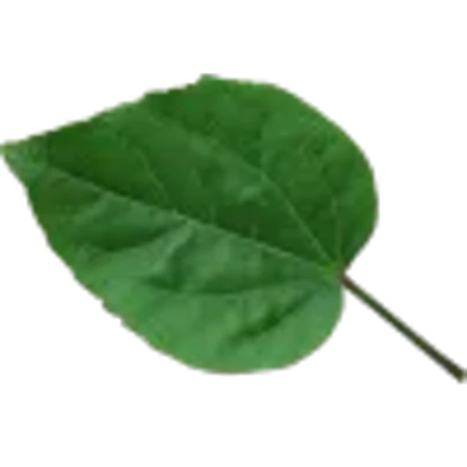 🤩 Эмодзи «Plants» для Telegram