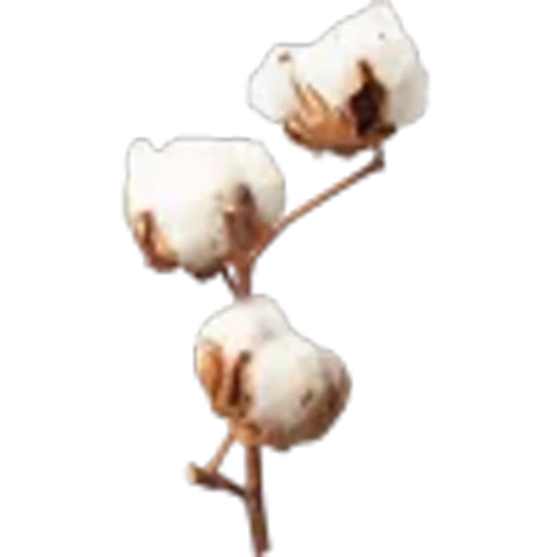 🤩 Эмодзи «Plants» для Telegram