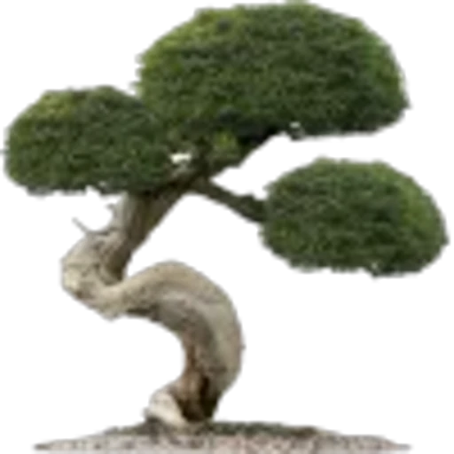 🤩 Эмодзи «Plants» для Telegram