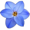 🤩 Эмодзи «Plants» для Telegram